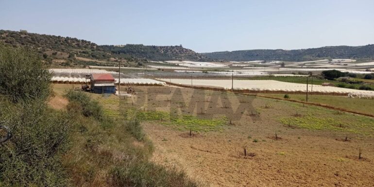 20250605111921-955709-10