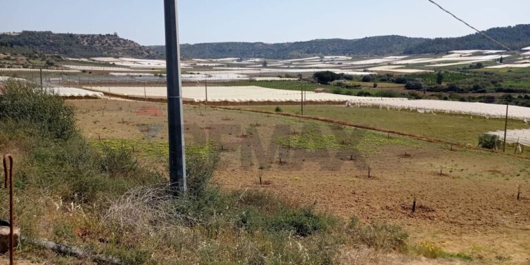 20250605111921-955709-8