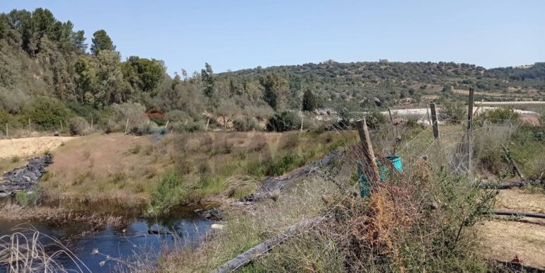 20250605111921-955709-9