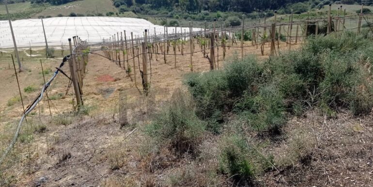 20250605111922-955709-11