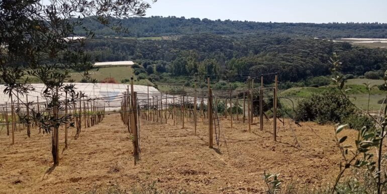 20250605111922-955709-13