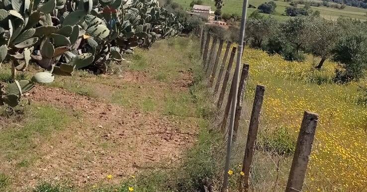 20250605112559-955711-0