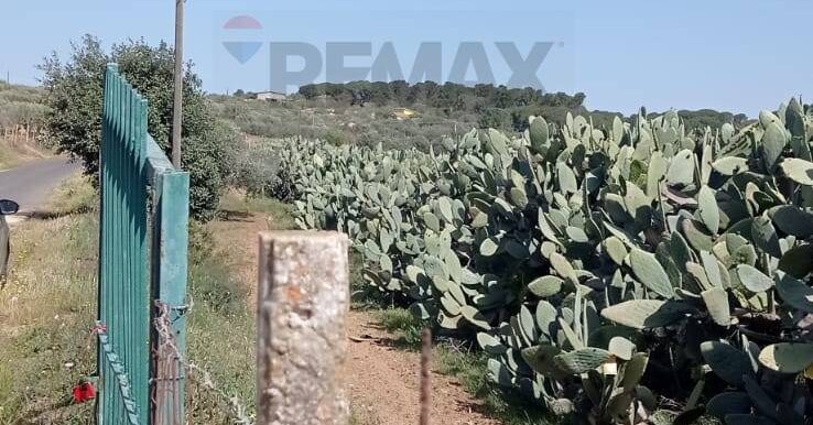 20250605112601-955711-8