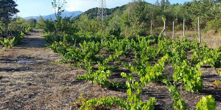 20250609155501-956397-1