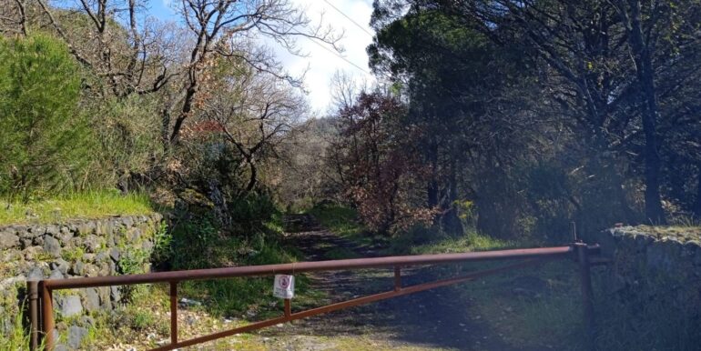 20250609155505-956397-3