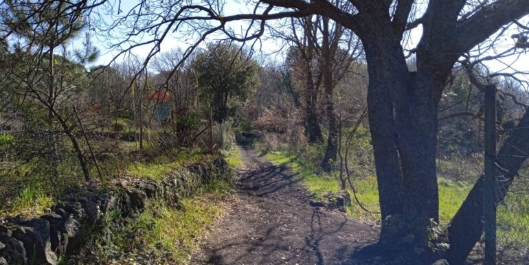 20250609155507-956397-4