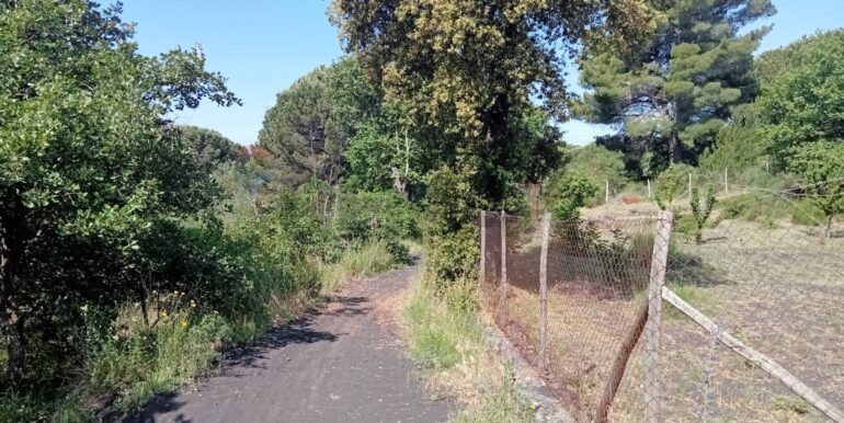 20250609155510-956397-5