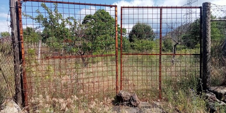 20250609155513-956397-6