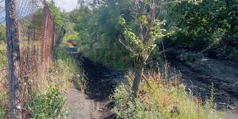 20250609155519-956397-8