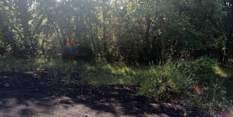 20250609155522-956397-9