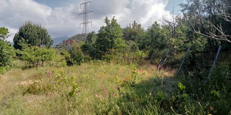 20250609155525-956397-10