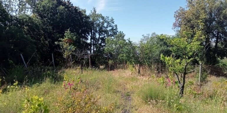 20250609155527-956397-11