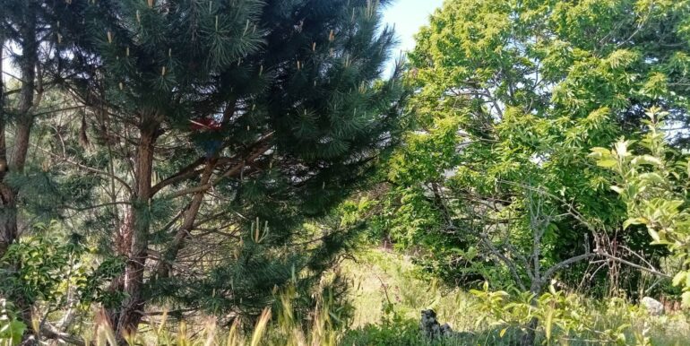 20250609155533-956397-13