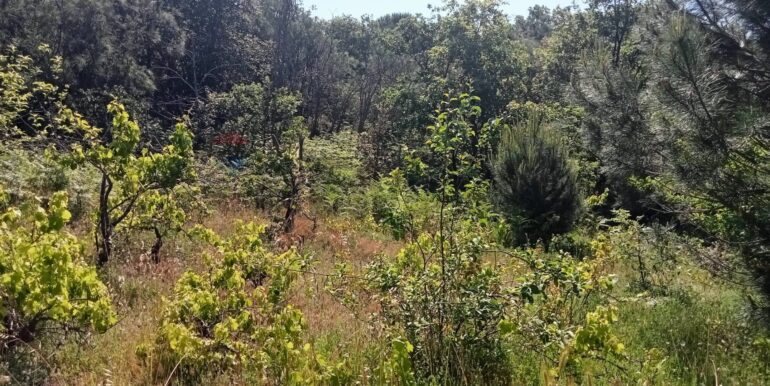 20250609155536-956397-14