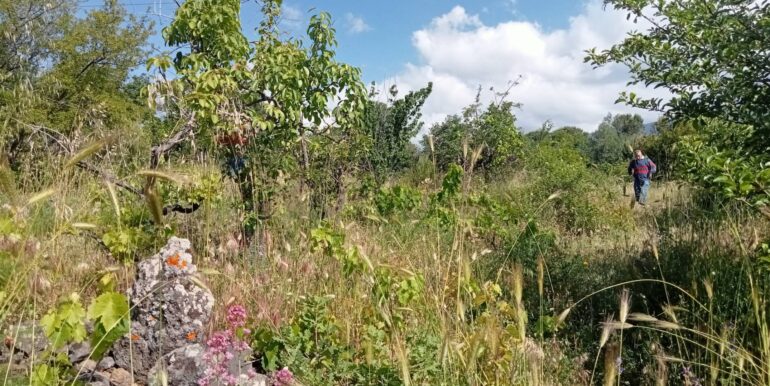 20250609155539-956397-15