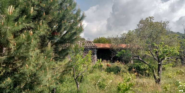 20250609155553-956397-20