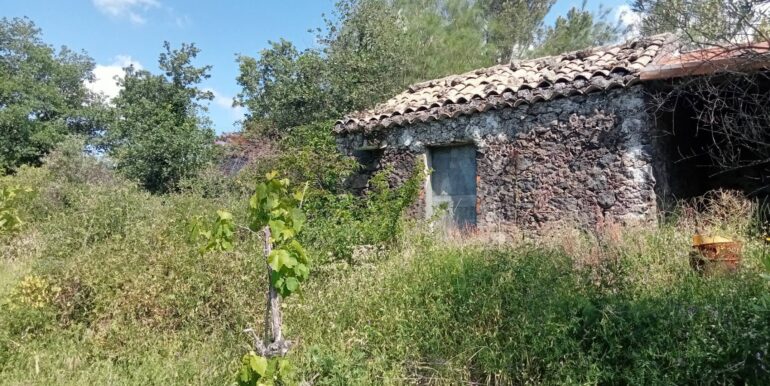 20250609155556-956397-21