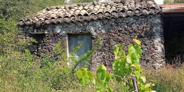 20250609155621-956397-29