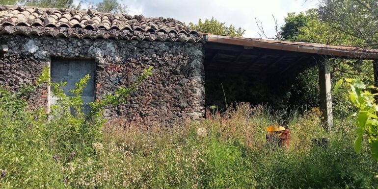 20250609155627-956397-31