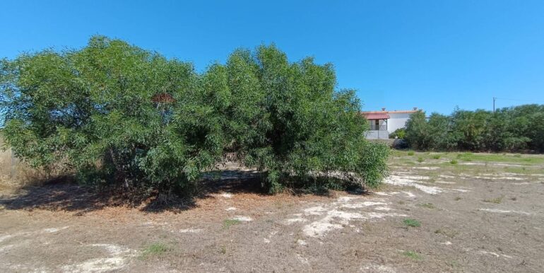 20250610100819-957461-9