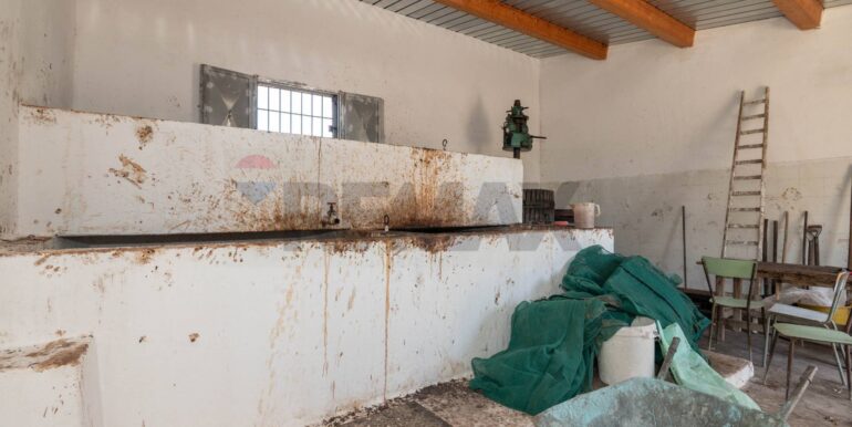 20250610122729-957531-14