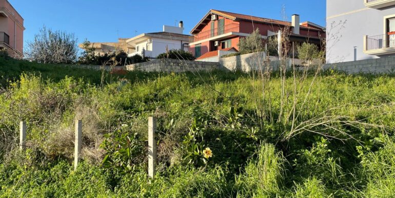 20250611173549-957916-6