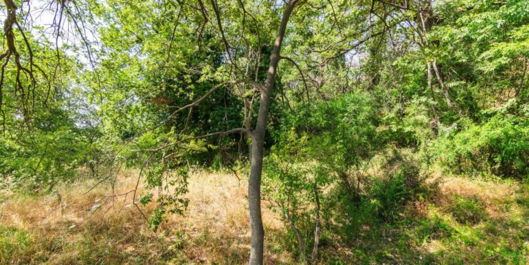 20250618192236-959798-1