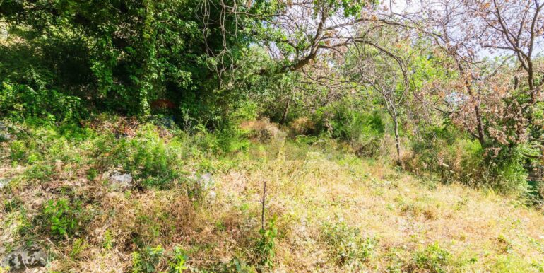 20250618192243-959798-2