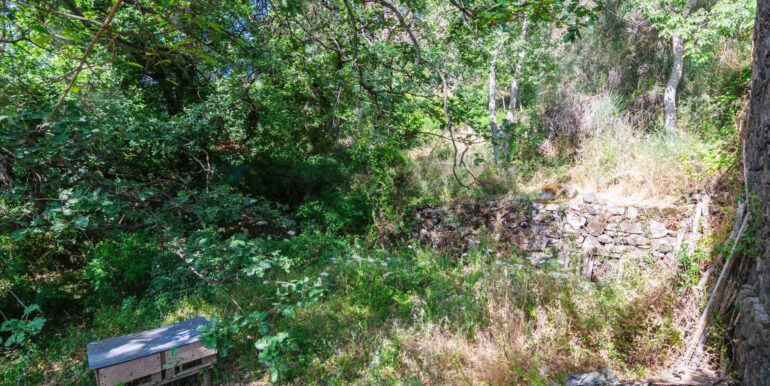 20250618192253-959798-3