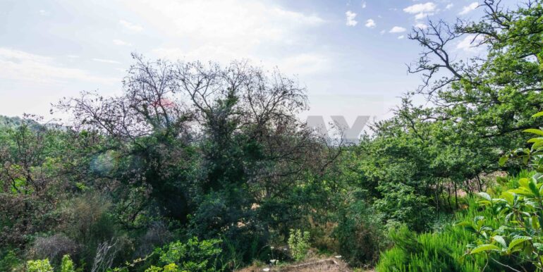 20250618192306-959798-5