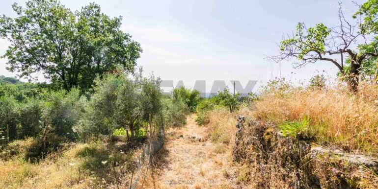 20250618192312-959798-6