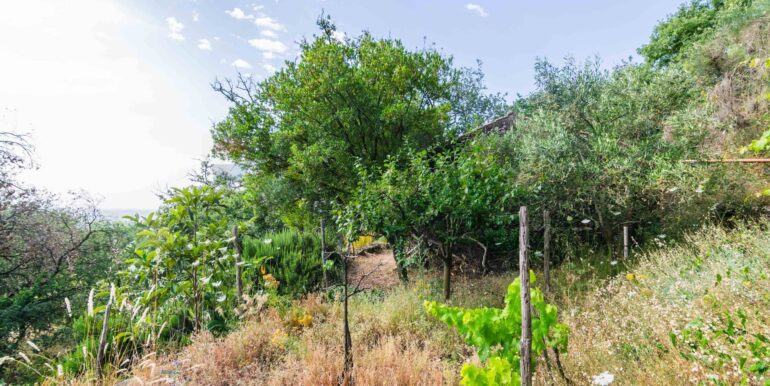 20250618192318-959798-7