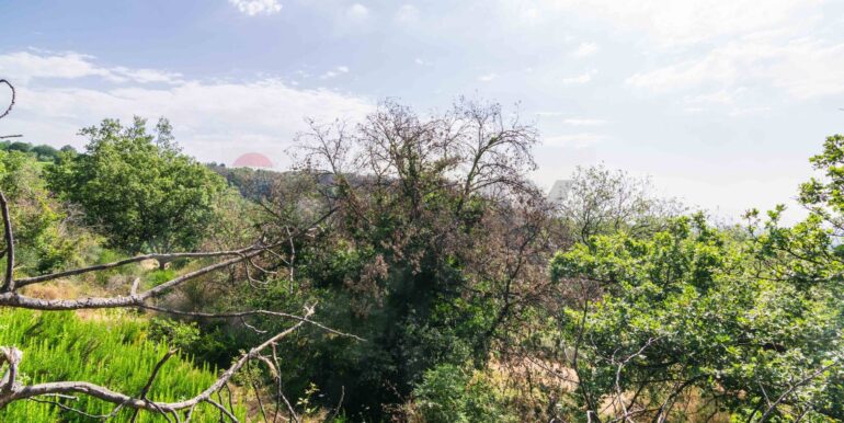 20250618192336-959798-10