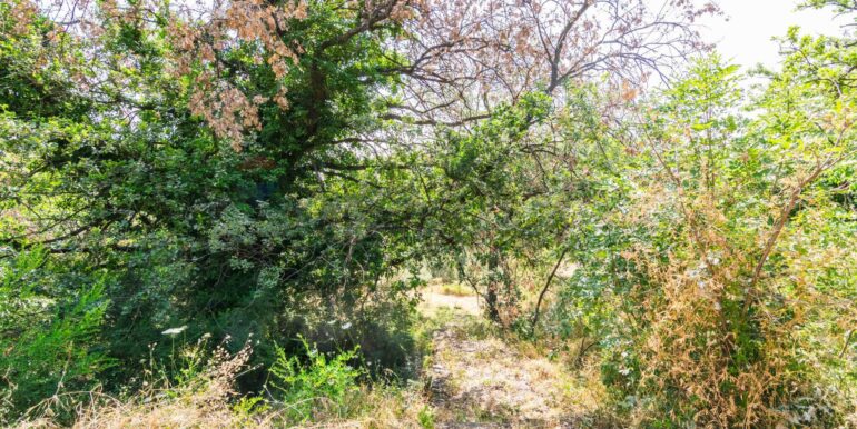 20250618192355-959798-13