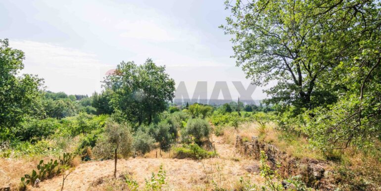 20250618192403-959798-14