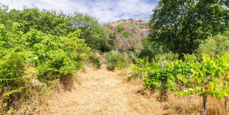 20250618192409-959798-15