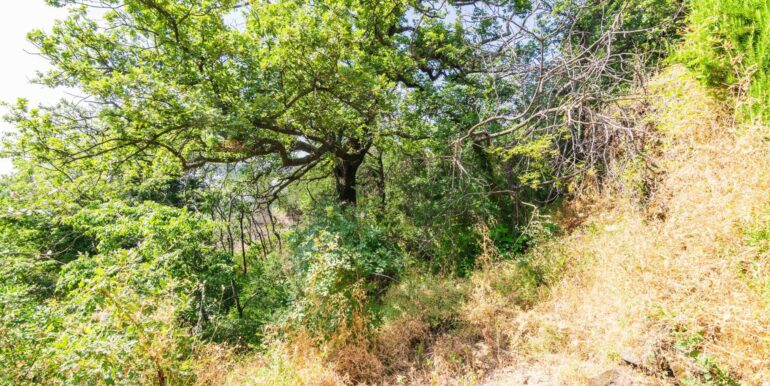 20250618192423-959798-17