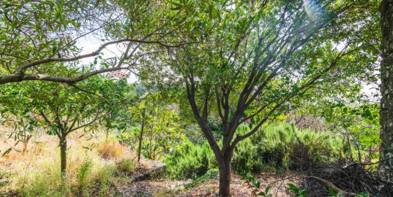 20250618192432-959798-18