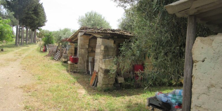 2025062481937-959999-1