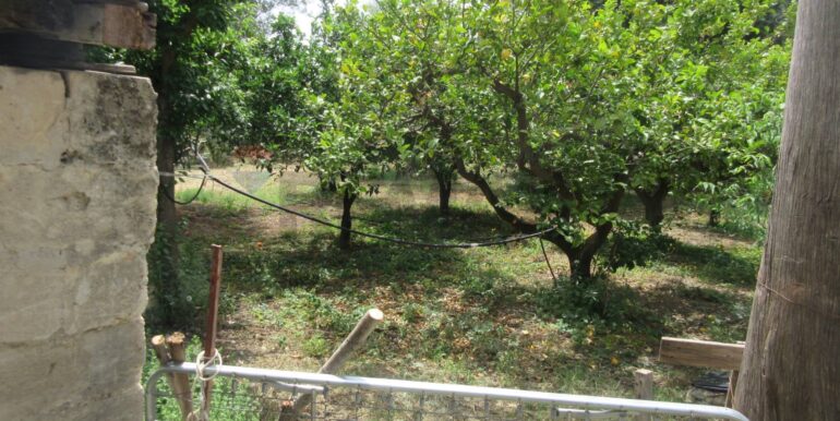 2025062481942-959999-3