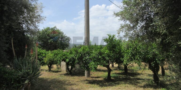 2025062481945-959999-4