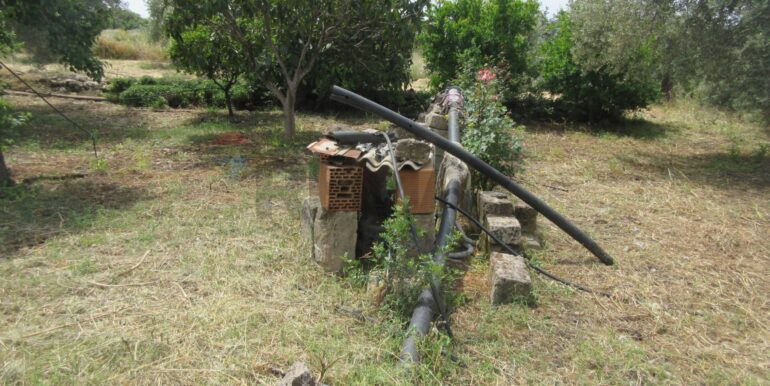 2025062481954-959999-8