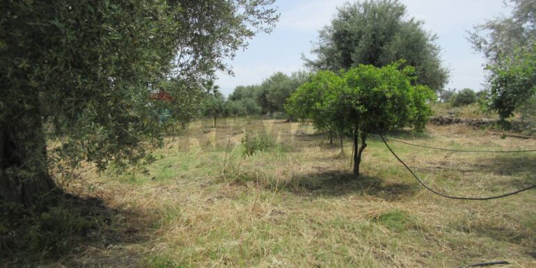 2025062481957-959999-9