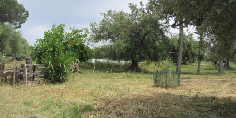 2025062482000-959999-10