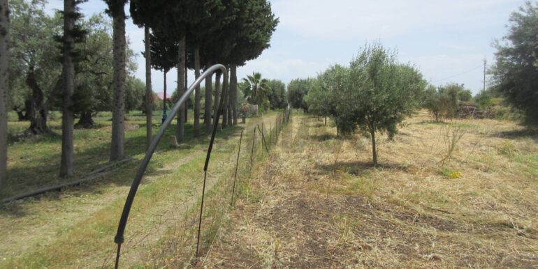 2025062482002-959999-11