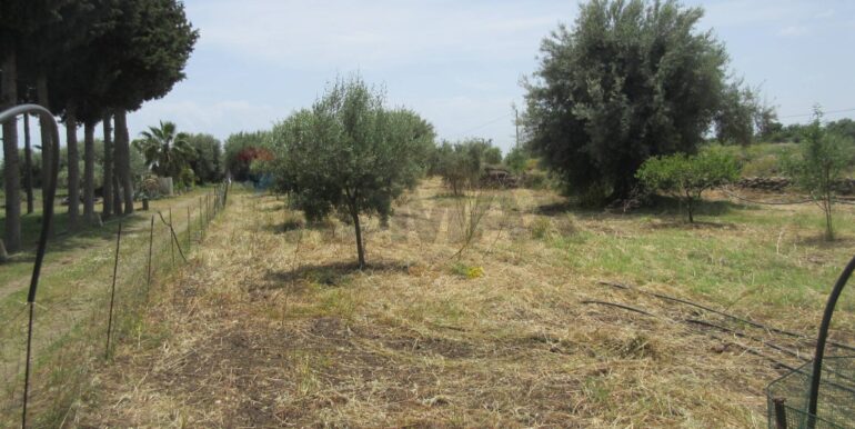 2025062482004-959999-12