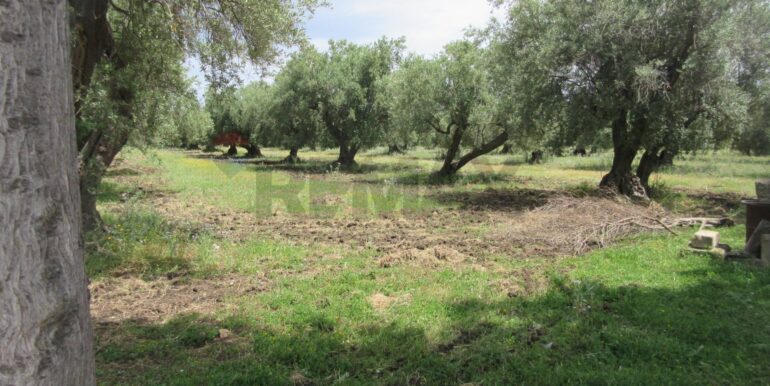 2025062482009-959999-14