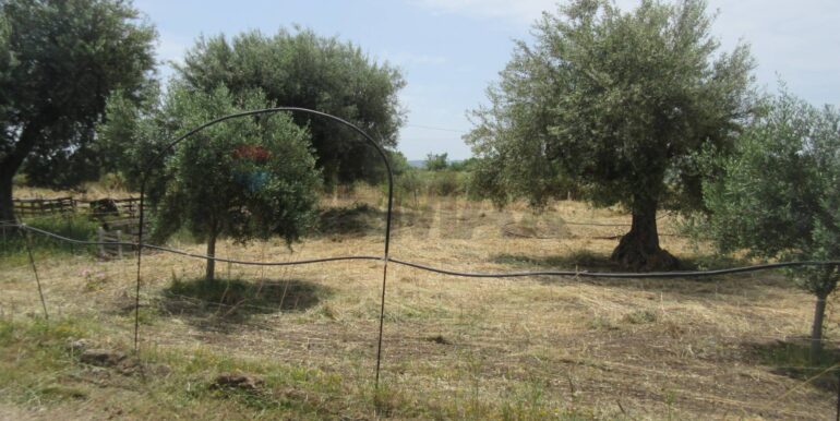 2025062482014-959999-16