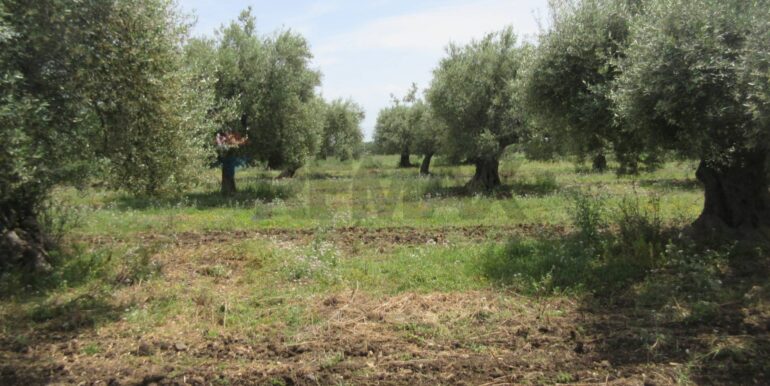 2025062482019-959999-18