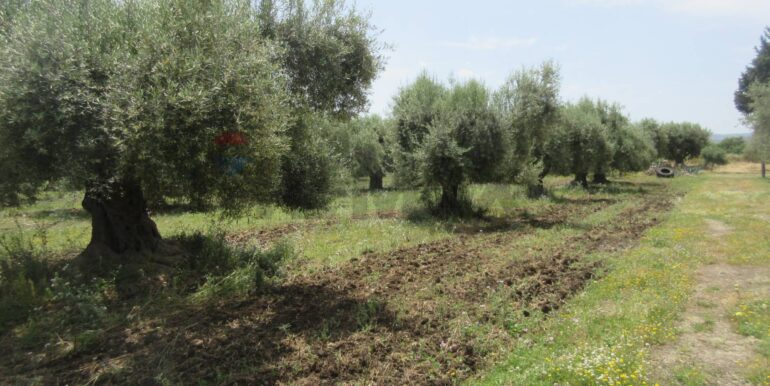 2025062482021-959999-19